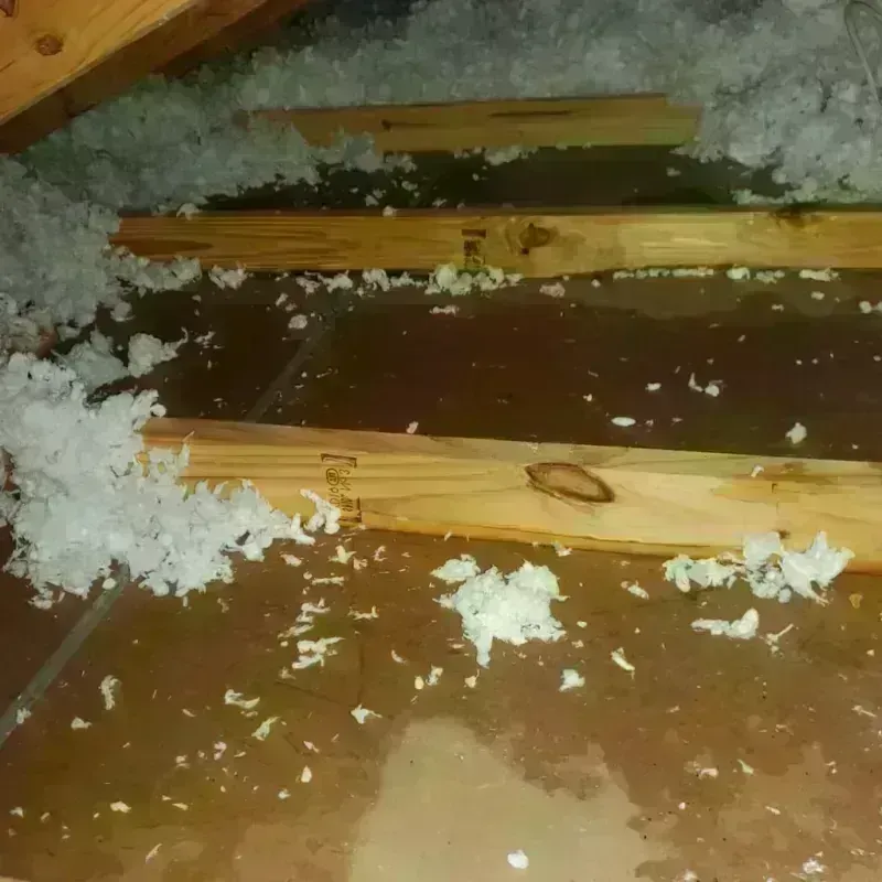 Attic Water Damage in Jasper, TX