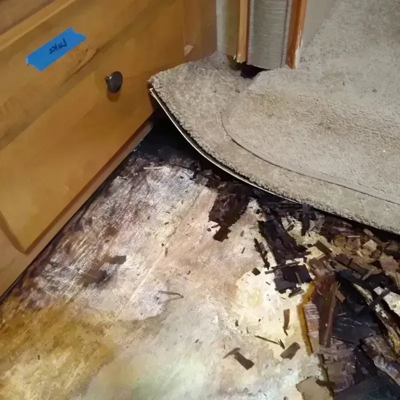 Wood Floor Water Damage in Jasper, TX